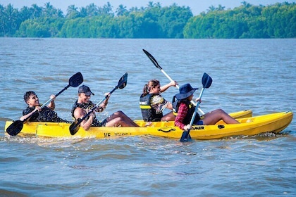 Sunrise Kayaking in Negombo