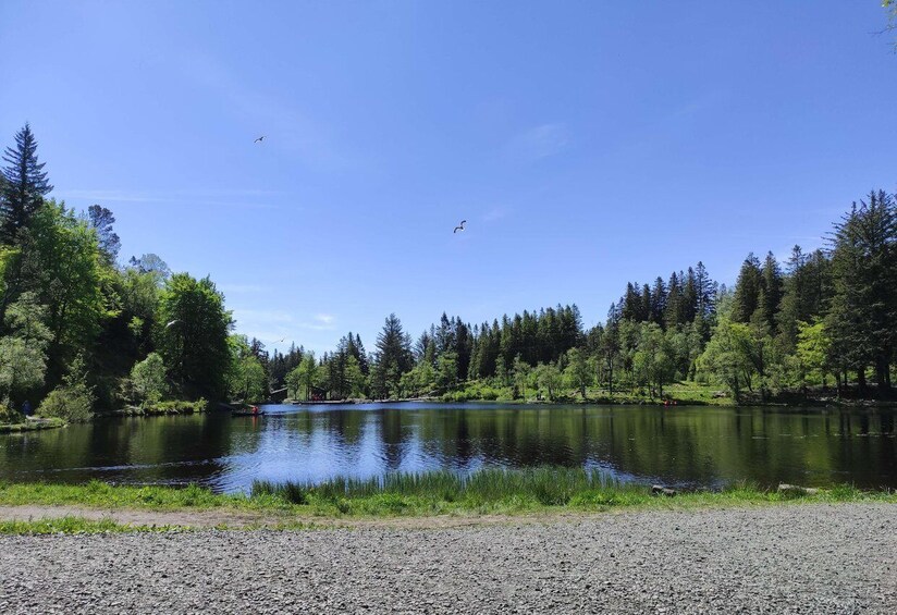 Picture 5 for Activity Private hiking tour Bergen mountains like a local