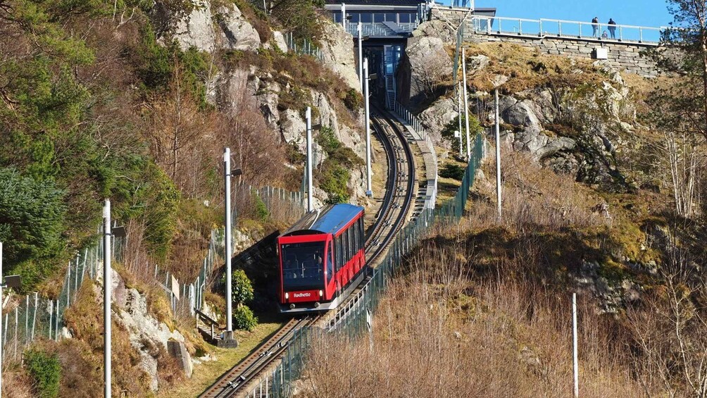 Picture 2 for Activity Private hiking tour Bergen mountains like a local