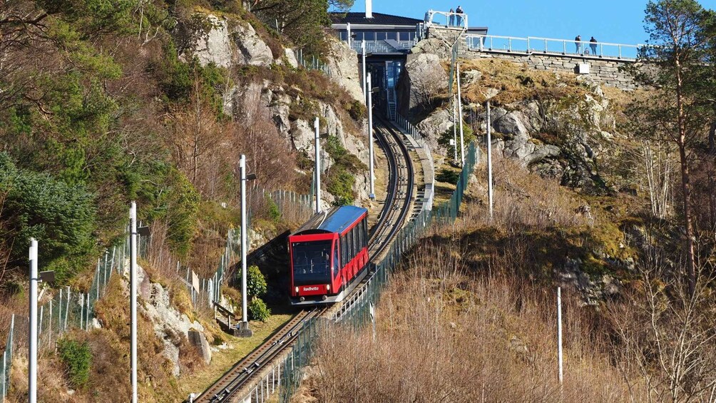 Picture 2 for Activity Private hiking tour Bergen mountains like a local