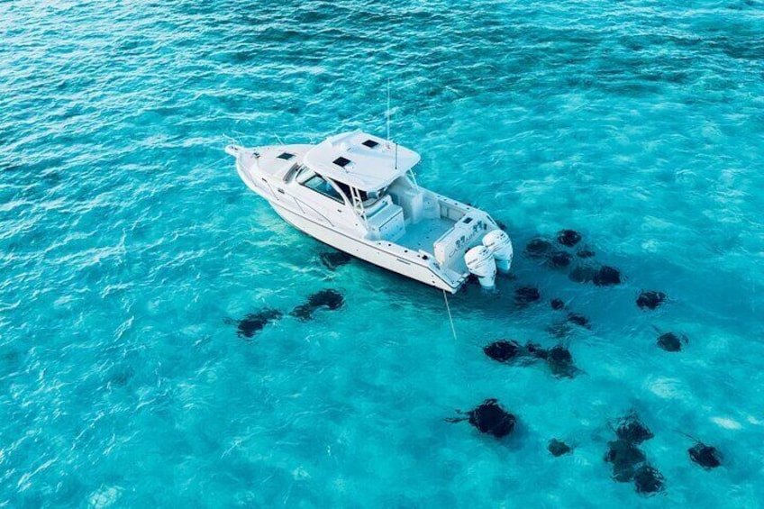 Grand Cayman Private Custom Boating Adventure