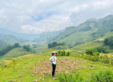 Descubre los impresionantes campos de arroz en terrazas en una caminata de ...