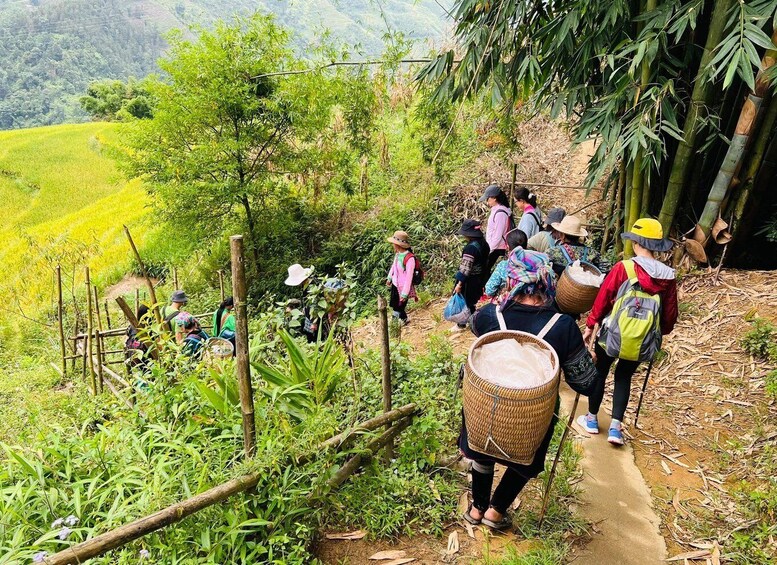 Picture 1 for Activity Discover the Stunning Terraced Rice Fields on 2-Day Trekking