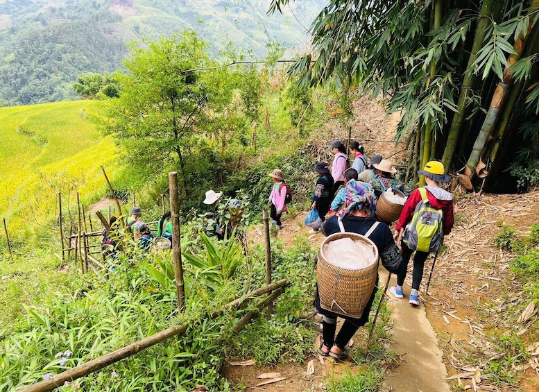 Picture 1 for Activity Discover the Stunning Terraced Rice Fields on 2-Day Trekking