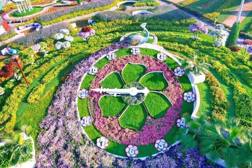 Dubai Miracle Garden