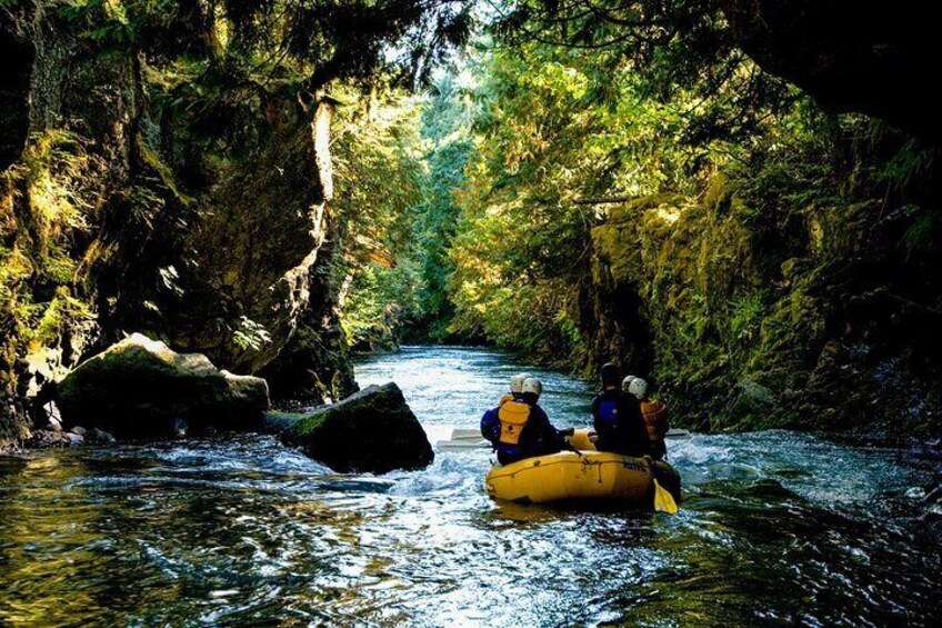 White Salmon River Rafting - Half Day