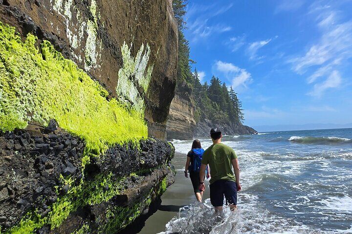 West Coast Wildlife Rainforest Waterfall and Beaches