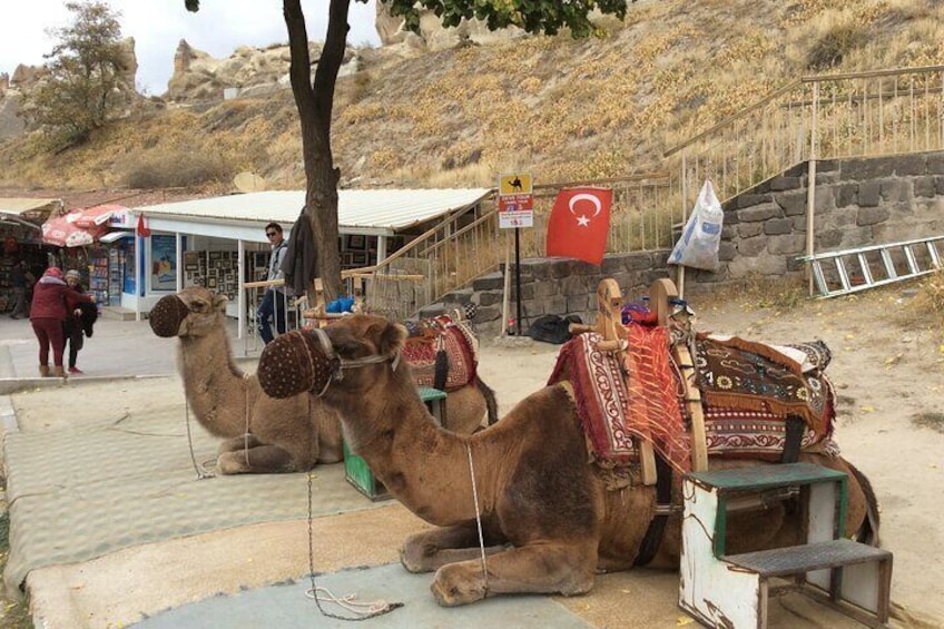 Cappadocia Camel ride