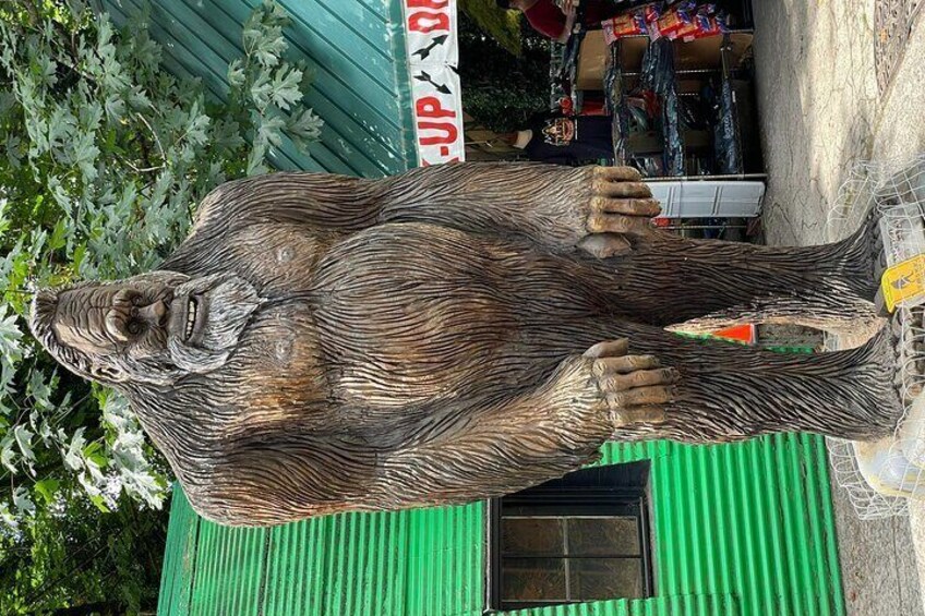 Take picture with Bigfoot 