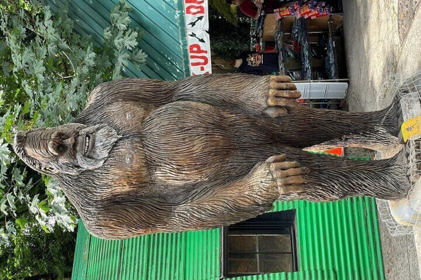 Take picture with Bigfoot