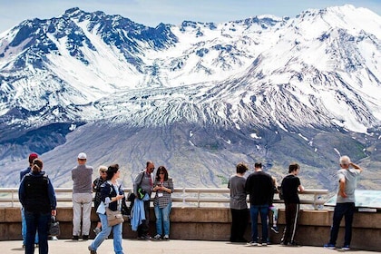 Explore Mt Saint Helen from Seattle in a small group