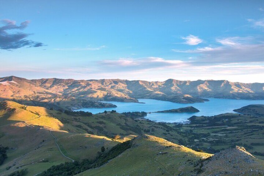 Akaroa Harbour from Hilltop Viewpoint