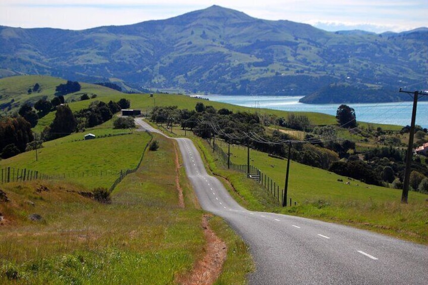 Driving to Akaroa from Christchurch