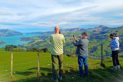 Excursion à Akaroa & Banks Peninsula au départ de Lyttelton (Excursion à te...