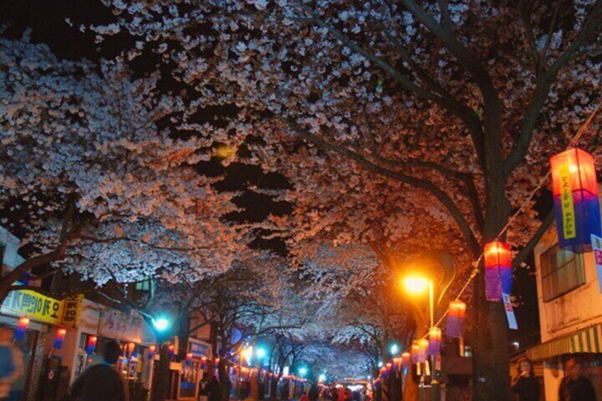 Night Jeonnong-ro cherry blossome road