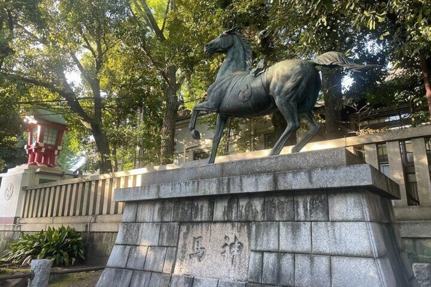 Experiencing Buddhism at a temple and visiting izakaya 