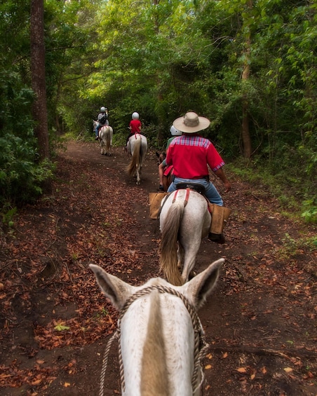 Picture 2 for Activity Horseback Riding to the Chorreas and Victoria Waterfalls