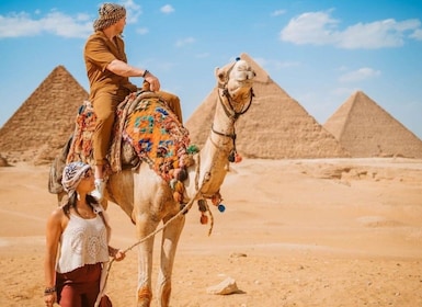 Sharm El-Sheikh: Tur Sehari Penuh di Kairo dan Piramida dengan Bus