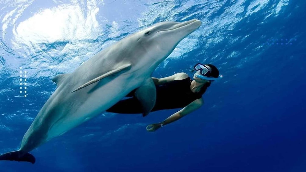Picture 43 for Activity Hurghada: Luxury Orange Bay w/Massage, Water Sports & Diving