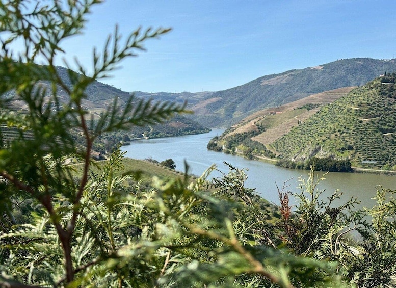 Picture 23 for Activity From Porto: Douro Valley Small Group Food and Wine Tour