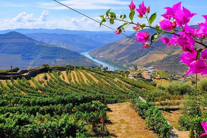 Porto: Douro Valley Tour with Wine Tasting, Lunch & Cruise