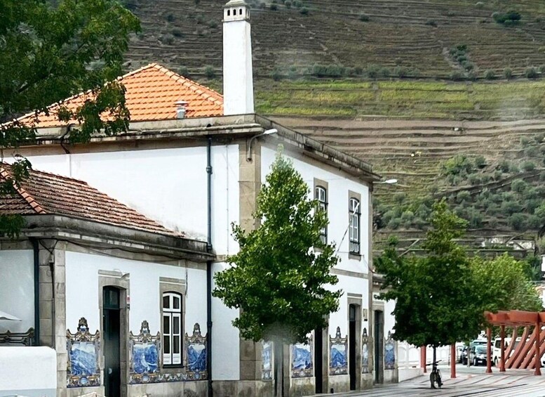 Picture 13 for Activity From Porto: Douro Valley Small Group Food and Wine Tour