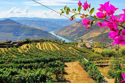 จากปอร์โต: ทัวร์ชิมอาหารและไวน์กลุ่มเล็ก Douro Valley