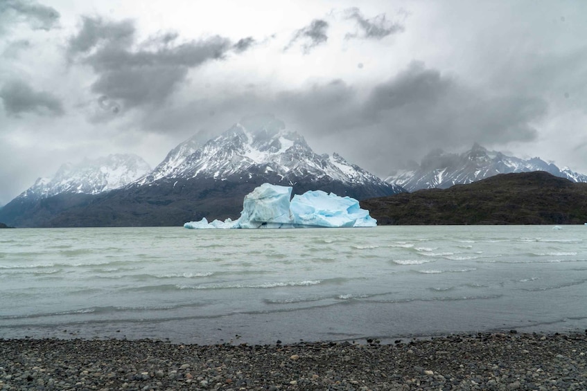 Picture 9 for Activity Puerto Natales: Torres del Paine Full Day Tour