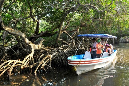 From Veracruz: Nature & Seafood Boat Tour to Madinga