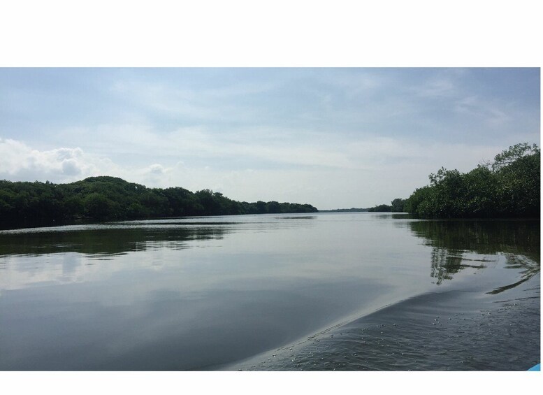 Picture 12 for Activity From Veracruz: Nature & Seafood Boat Tour to Madinga