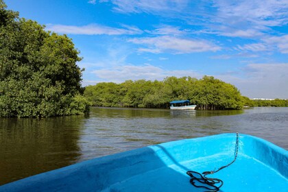 From Veracruz: Nature & Seafood Boat Tour to Madinga