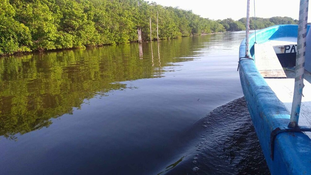 Picture 11 for Activity From Veracruz: Nature & Seafood Boat Tour to Madinga