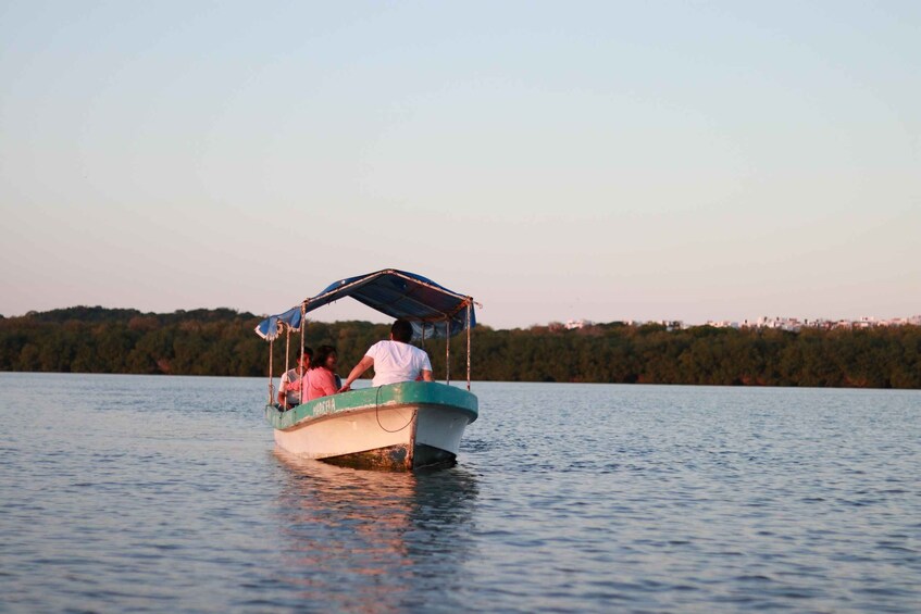 Picture 8 for Activity From Veracruz: Nature & Seafood Boat Tour to Madinga