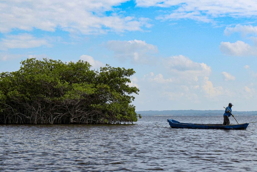 Picture 10 for Activity From Veracruz: Nature & Seafood Boat Tour to Madinga