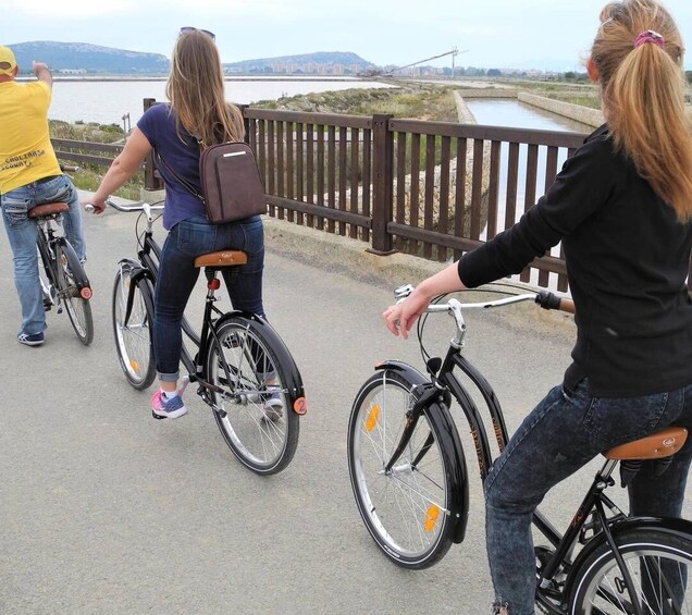 Cagliari: Bike Tour in the Flamingo Oasis