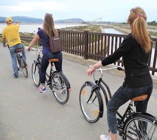 Cagliari: Bike Tour in the Flamingo Oasis