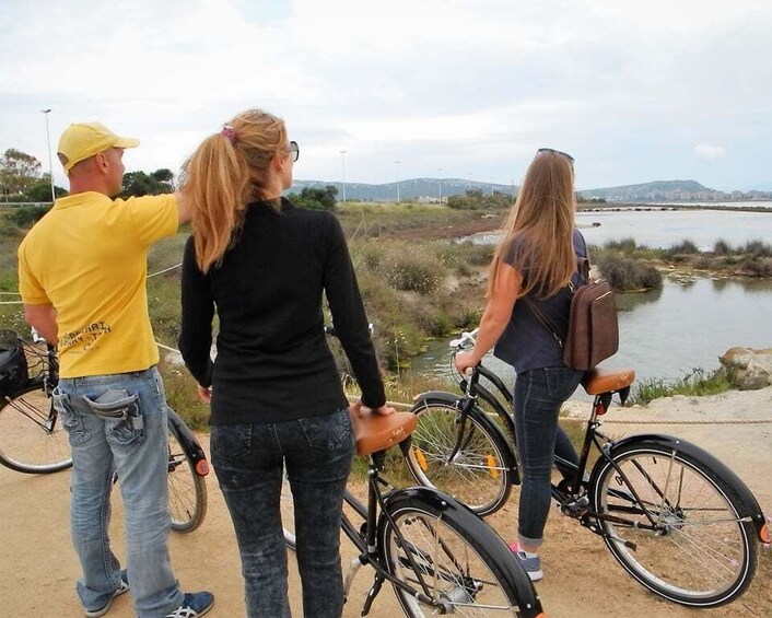 Picture 1 for Activity Cagliari: Bike Tour in the Flamingo Oasis