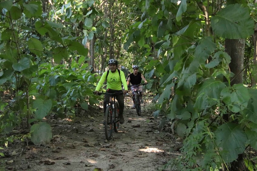 Picture 1 for Activity From Puerto Vallarta: Jungle Mountain Bike Tour