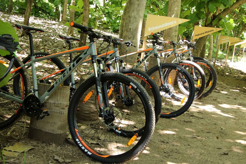 Picture 3 for Activity From Puerto Vallarta: Jungle Mountain Bike Tour