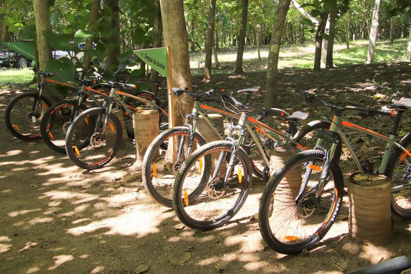Picture 4 for Activity From Puerto Vallarta: Jungle Mountain Bike Tour