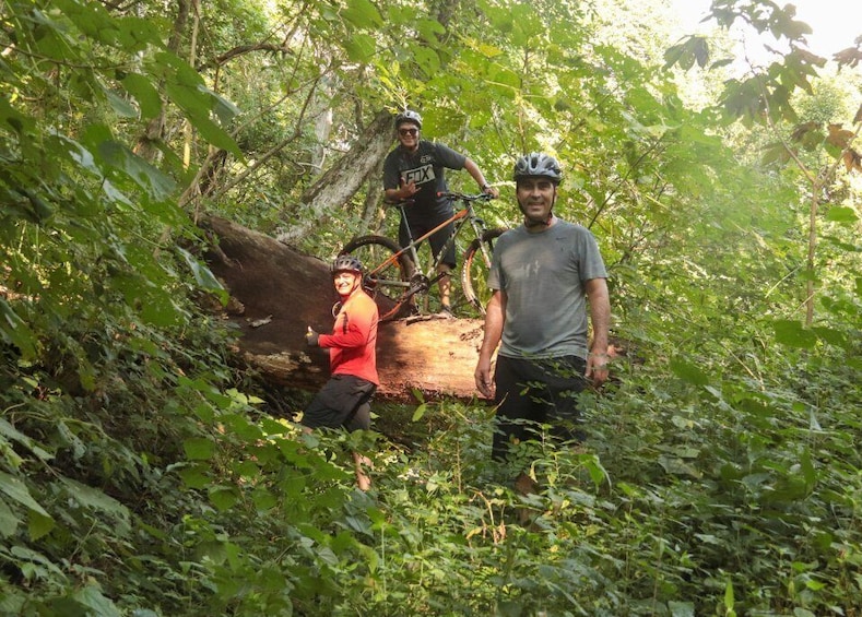 Picture 8 for Activity From Puerto Vallarta: Jungle Mountain Bike Tour