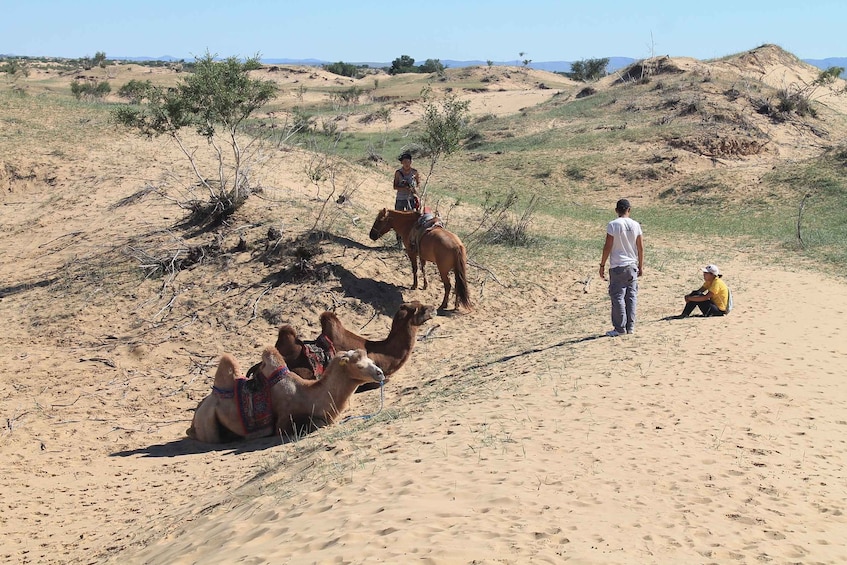 Picture 6 for Activity Ulaanbaatar: Semi-Gobi Desert Day Trip & Camel Ride