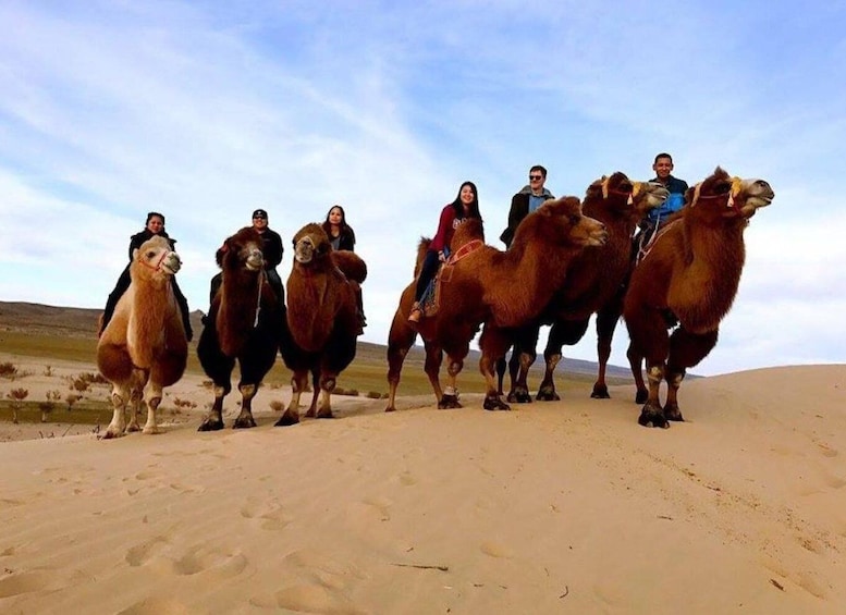 Ulaanbaatar: Semi-Gobi Desert Day Trip & Camel or Horse Ride