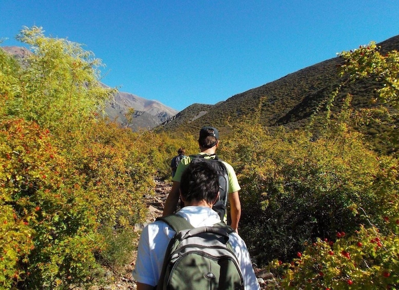 Picture 1 for Activity Mendoza: Trekking, Abseiling and Zipline