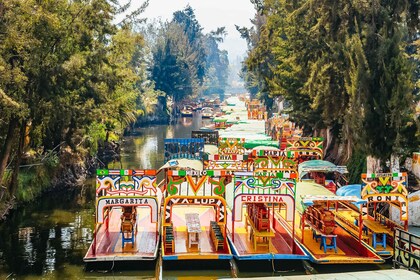 Mexico City: Coyoacán & UNAM Tour: Xochimilco, Casa Azul, Coyoacán & UNAM T...