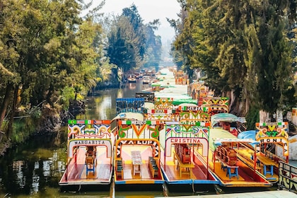 Ciudad de México: recorrido por Xochimilco, Casa Azul, Coyoacán y UNAM