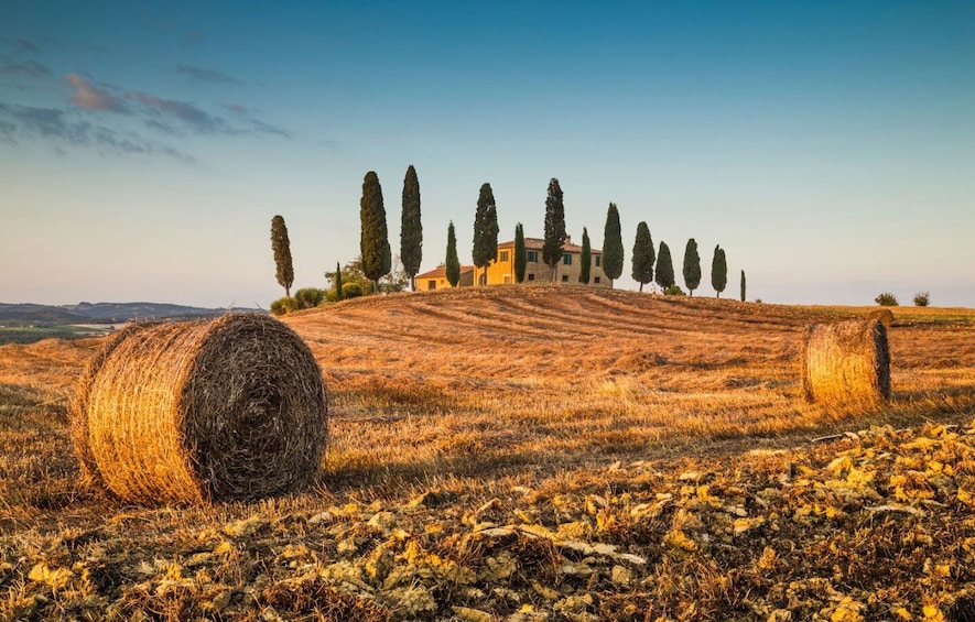 Picture 1 for Activity Val D'Orcia: Montepulciano, Pienza, Montalcino with Winery