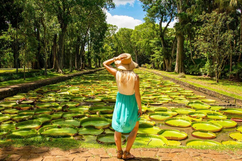 Mauritius: Private Full-Day Instagram Tour