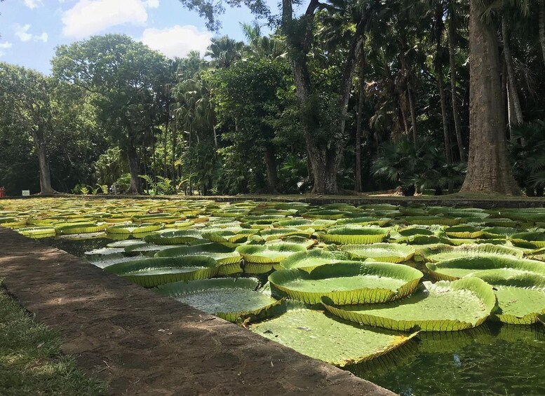 Picture 9 for Activity Mauritius: Private Full-Day Instagram Tour