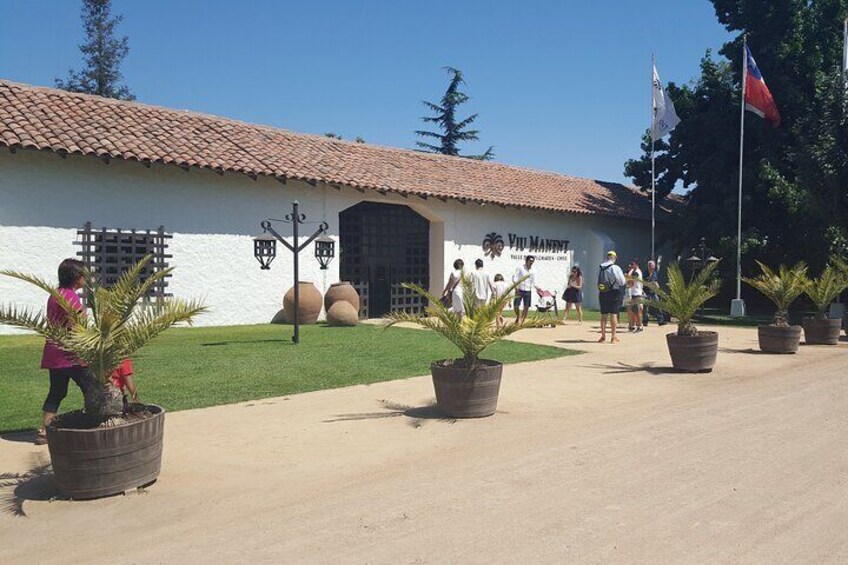 Tour in Colchagua vineyards Montes and vineyards Viu Manent